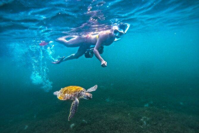 2025 <b>Puerto Rico</b> Jet Snorkel with Turtles and Videos in San Juan ...
