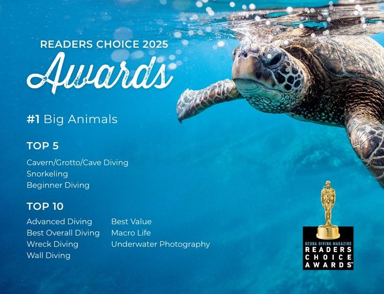 <b>Scuba Diving</b> in The <b>Bahamas</b> | The Out Islands of The <b>Bahamas</b>